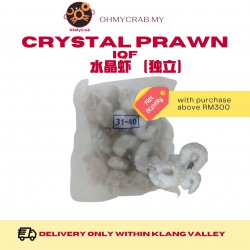 Crystal prawn IQF 31/40