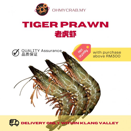 Tiger Prawn (4-7pcs)