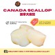 Canada Scallop 10/20 500/pack
