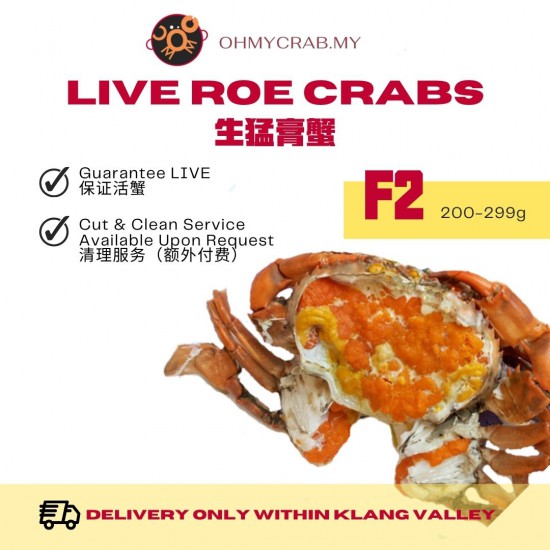 Live Roe Crab F2 (200-300g)