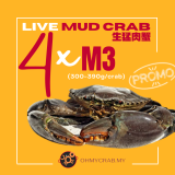 Live Mud Crab Promo M3 (300-390g) x 4 crab
