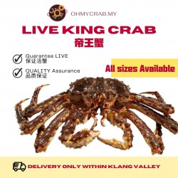 Live Alaska King Crab