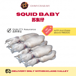 Squid Baby 500g/pack