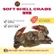 Soft Shell Crab 1kg/pack