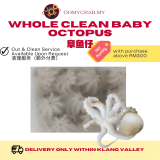 Whole Clean Baby Octopus 300g/pack