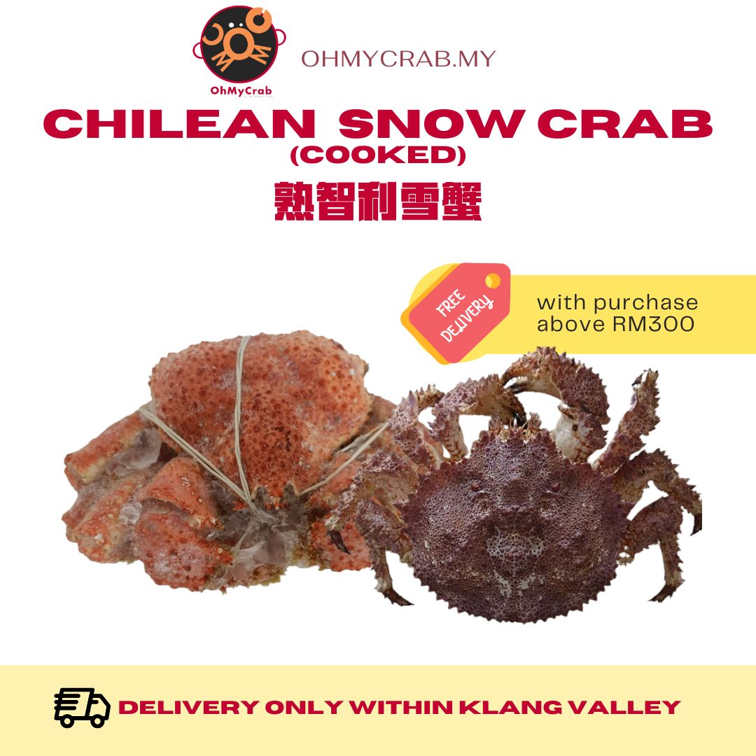 Chilean Snow Crab
