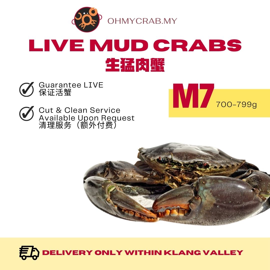 Live Mud Crab M7 (700-790g)